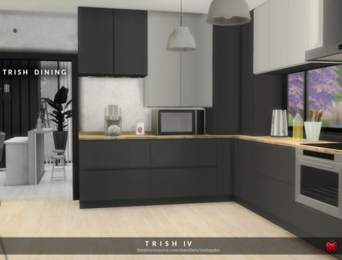 Trish - kitchen