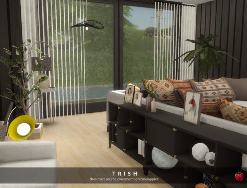 Trish – living room