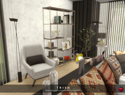 Trish – living room