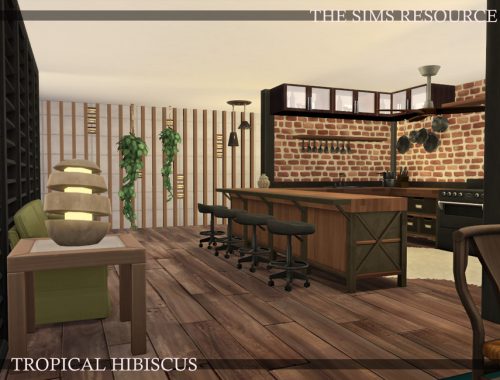 Tropical Hibiscus | noCC