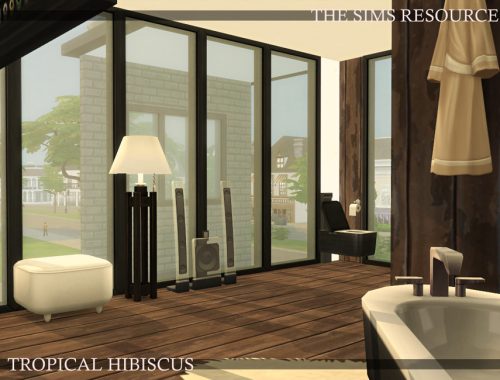 Tropical Hibiscus | noCC