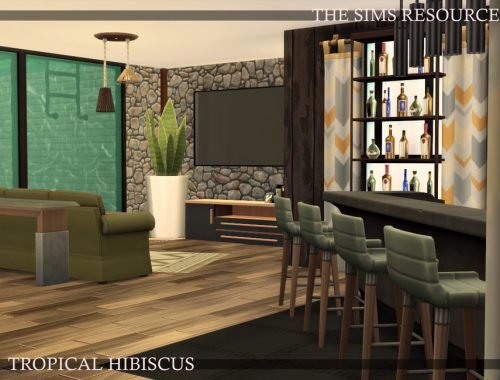 Tropical Hibiscus | noCC