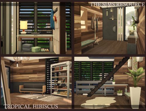Tropical Hibiscus | noCC