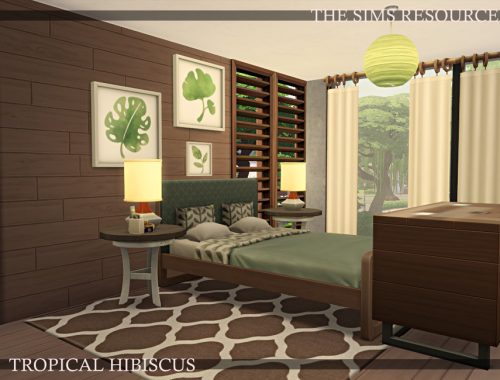 Tropical Hibiscus | noCC