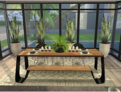 Tropical Kitchen