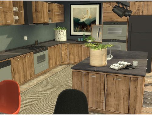 Tropical Kitchen