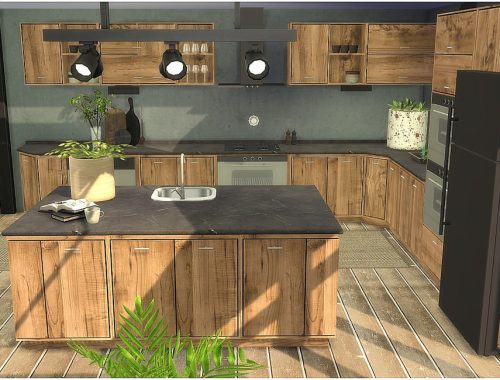 Tropical Kitchen