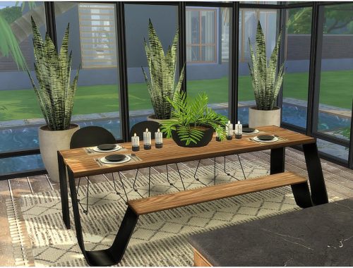 Tropical Kitchen