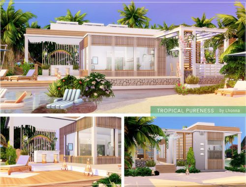 Tropical Pureness