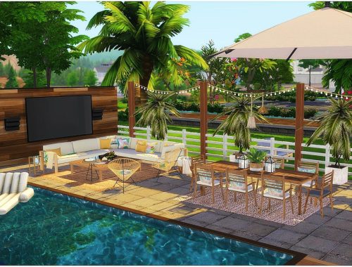 Tropical Yard