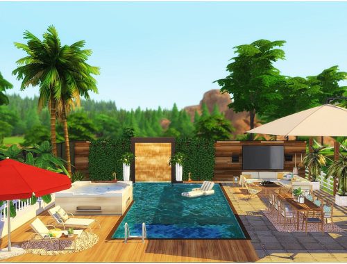 Tropical Yard