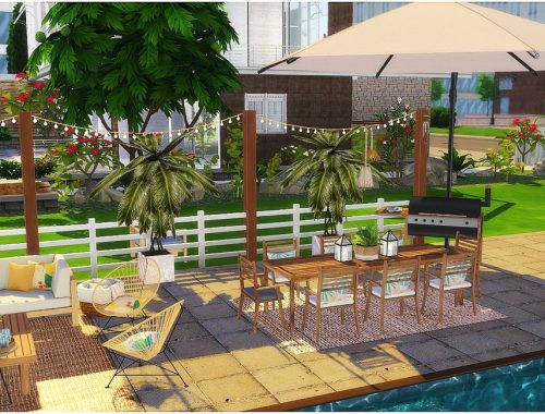 Tropical Yard