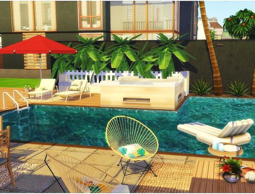 Tropical Yard