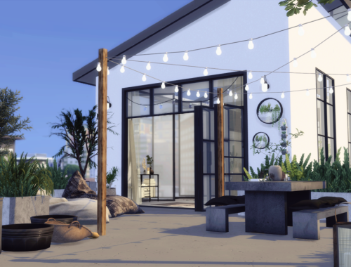 Loft Alive