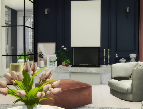 Ballet Dancer Apartment