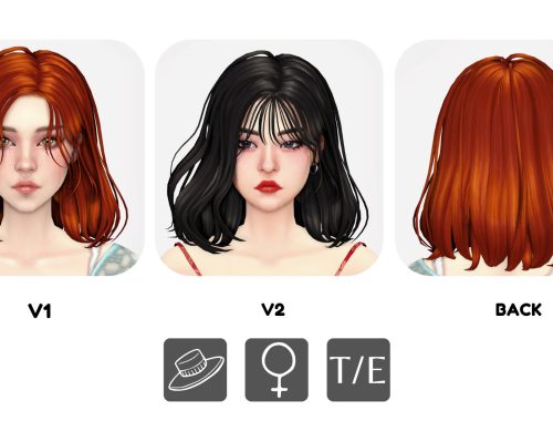 Suji hair set