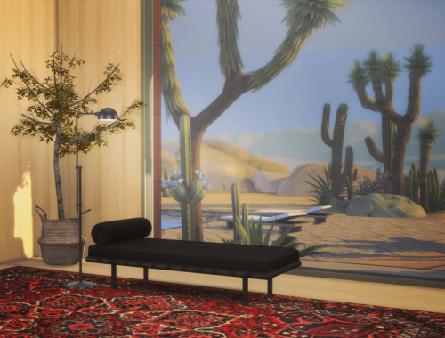 Desert Hideout
