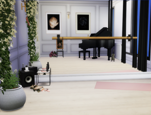 Ballet Dancer Apartment