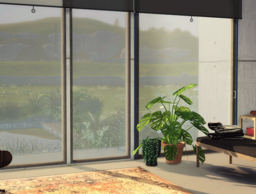 Concrete House
