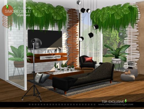 TV Corner