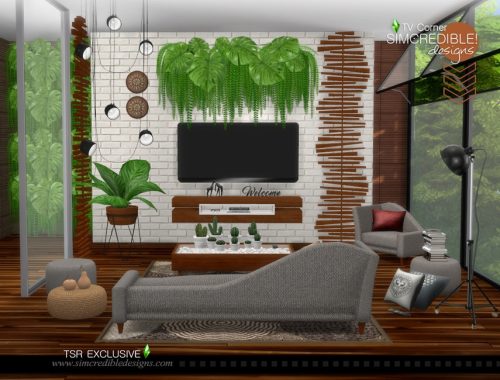 TV Corner