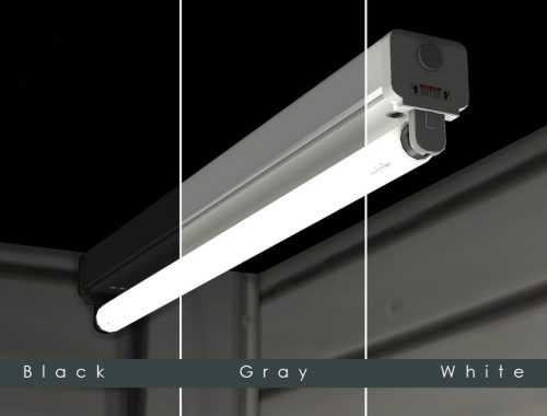 Under Cabinet Florescent Light