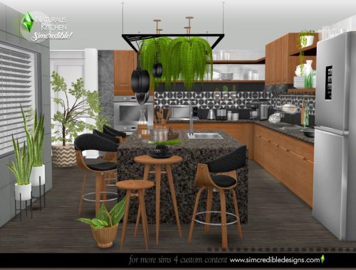 Naturalis Kitchen