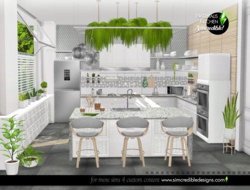 Naturalis Kitchen