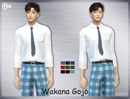 Wakana Gojo