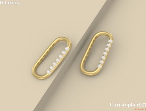 Whitney Earrings / Christopher067
