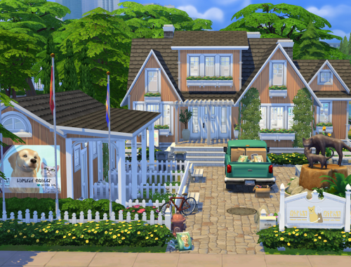 Willow Creek Vet Clinic // no CC