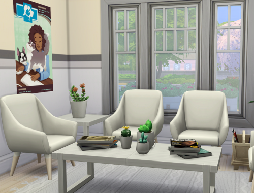 Willow Creek Vet Clinic // no CC