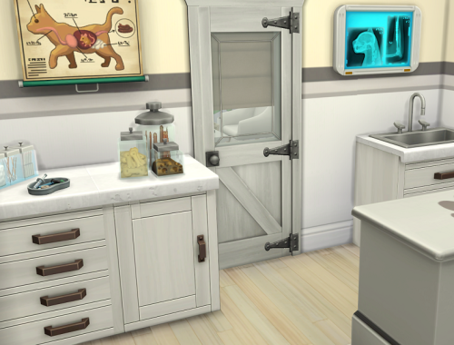 Willow Creek Vet Clinic // no CC