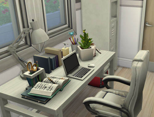 Willow Creek Vet Clinic // no CC