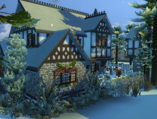 Winter Cottage no cc