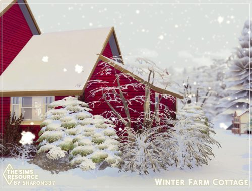 Winter Farm Cottage - Nocc