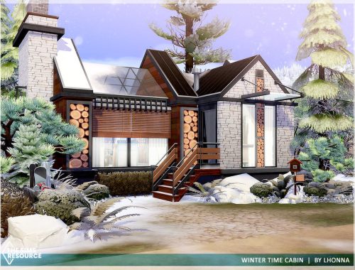 Winter Time Cabin /No CC/