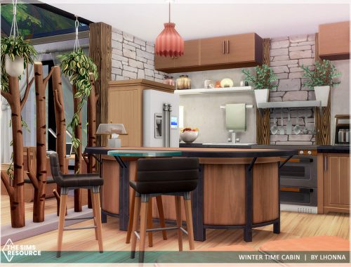 Winter Time Cabin /No CC/