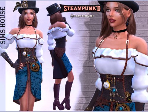 Womens steampunk outfit