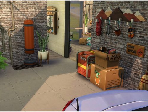 Workshop Garage