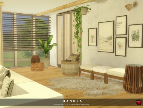 Xandra - living