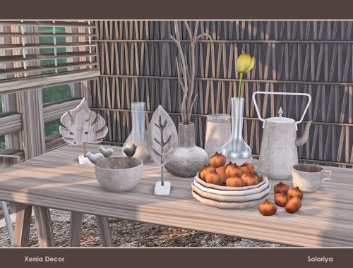 Xenia Decor