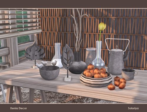 Xenia Decor