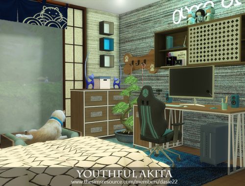 Youthful Akita