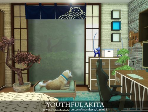 Youthful Akita