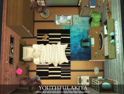 Youthful Akita