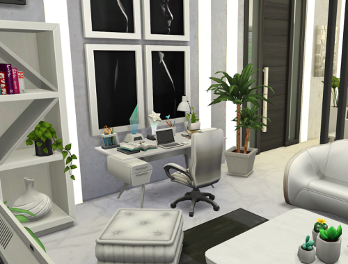 Youtuber House // no CC