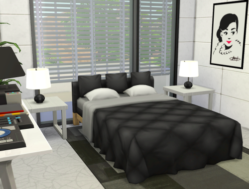 Youtuber House // no CC