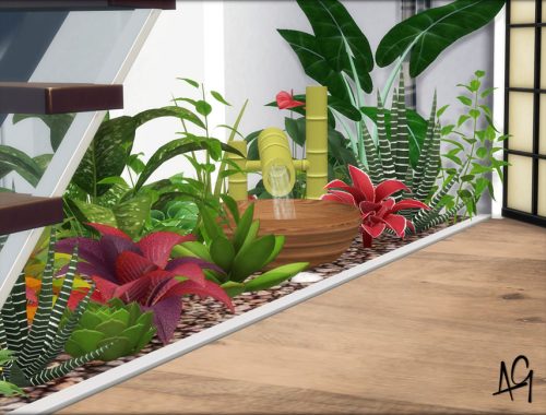 Zen Foyer