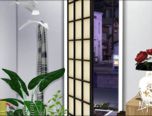 Zen Foyer